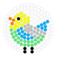 budgerigar