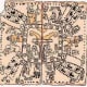 The Madrid codex