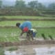 Mama’s boy: This kind of scene is everyday thing for the people in Nepal during the rainy season.