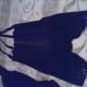 Ardyss Body Reshaper Long