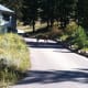 Deer in Estes Park, Colorado.