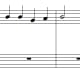 Question 8