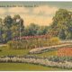 Flower Garden, East Side Park, Paterson, N.J. Published by Tichnor Brother.