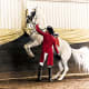 Horse performing a Pesade