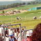 View looking out from the bleachers toward the surrounding countryside.