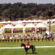 Dressage Olympic event outside Barcelona, Spain 1992