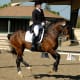 Horse performing a Flying Change