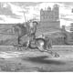 Horse performing a Capriole