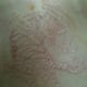 white-ink-tattoos-and-designs-white-tattoos-and-ideas-white-ink-tattoo-pictures