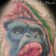 gorilla-tattoos-and-designs-gorilla-tattoo-meanings-and-ideas-gorilla-tattoo-pictures