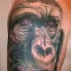 gorilla-tattoos-and-designs-gorilla-tattoo-meanings-and-ideas-gorilla-tattoo-pictures