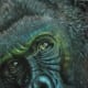 gorilla-tattoos-and-designs-gorilla-tattoo-meanings-and-ideas-gorilla-tattoo-pictures
