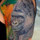 gorilla-tattoos-and-designs-gorilla-tattoo-meanings-and-ideas-gorilla-tattoo-pictures
