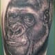 gorilla-tattoos-and-designs-gorilla-tattoo-meanings-and-ideas-gorilla-tattoo-pictures