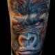 gorilla-tattoos-and-designs-gorilla-tattoo-meanings-and-ideas-gorilla-tattoo-pictures
