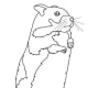 how-to-become-friends-with-a-pet-hamster