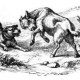 german-illustrators