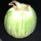 green egg plant