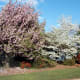 the-colors-of-the-seasons