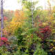 the-colors-of-the-seasons