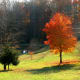 the-colors-of-the-seasons