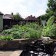 Vegetable Plot in June
