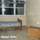 It was 24 degrees in this room when the photo was taken. There was no dust or insects to create the orbs.