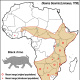 Black Rhino range map