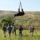 Flight of the rhino, flying rhino