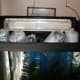 Floating bags in the tank