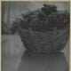 photographer-adolph-de-meyer