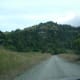 exploring-the-back-roads-of-new-zealands-north-island-south-to-taupo-lake-taupo-to-west-coast-via-logging-route