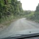 exploring-the-back-roads-of-new-zealands-north-island-south-to-taupo-lake-taupo-to-west-coast-via-logging-route