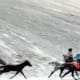 Horse races during Namgan featival