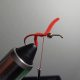 Setting the First Worm