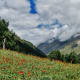 fulaich-the-festival-of-flowers-in-kinnur