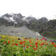 fulaich-the-festival-of-flowers-in-kinnur