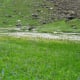 fulaich-the-festival-of-flowers-in-kinnur
