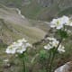 fulaich-the-festival-of-flowers-in-kinnur