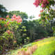 Nature Trail in La Mesa Eco Park