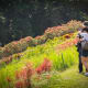 The La Mesa Eco Park can also be a romantic place for couples!