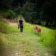 Picture Perfect Spots in the Eco Park
