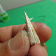 balsapopperfly