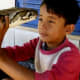 top-10-most-dangerous-exotic-animals-you-can-legally-own-in-india
