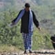 top-10-most-dangerous-exotic-animals-you-can-legally-own-in-india