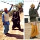 top-10-most-dangerous-exotic-animals-you-can-legally-own-in-india
