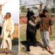 Dancing Indian Soloath Bears