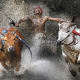 top-10-most-dangerous-exotic-animals-you-can-legally-own-in-india