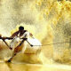 Bull Racing