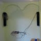 Speaker wires concealed by plaster coving and TV extension socket fixed to wall